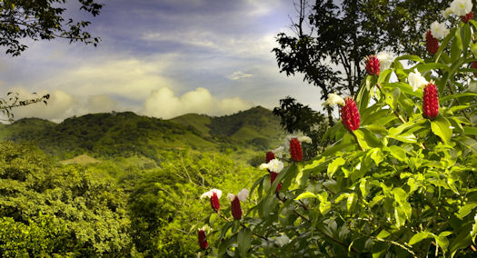 http://www.centralamericasecondhomes.com/images/costa-rica-mountain.jpg